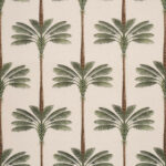 A Palm Is A Palm Daylight Evergreen