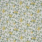 Citrontrad Ivory Leaf