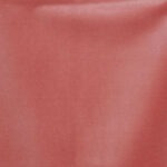 Rocky Performance Velvet Cameo